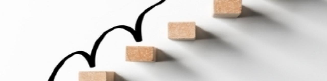 Onze stagiaires vertellen: 