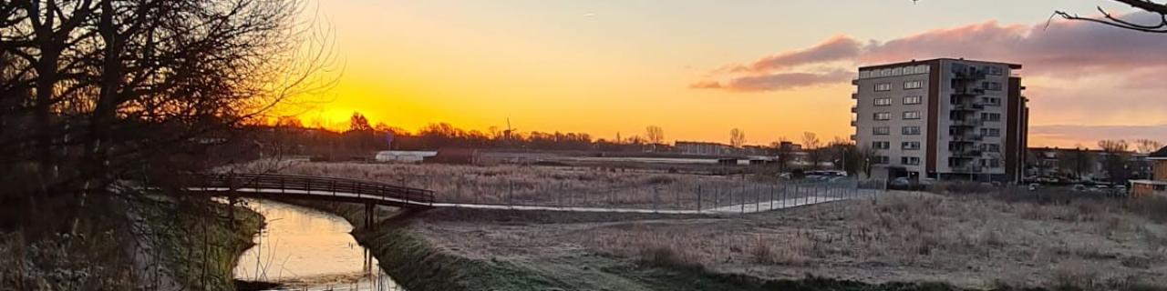 Thuiswerken bij Lansigt (deel 2): 